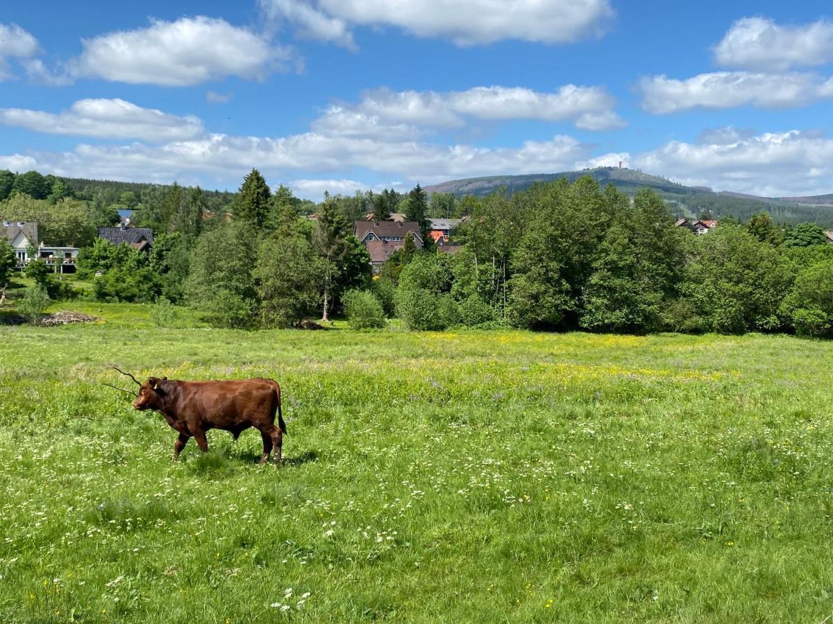Berglage - Das Urlaubzuhause Браунлаге Экстерьер фото